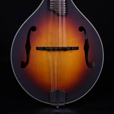 Saga Gitane D 500 / gypsy selmer style guitar / D hole / Django