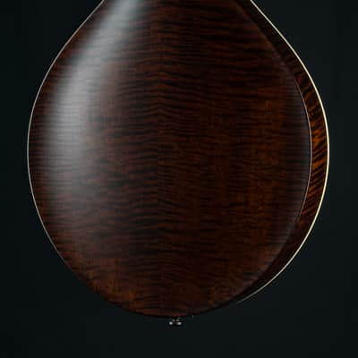 Collings MT Mandola Cream Gloss Top Adirondack Spruce and Flamed Maple NEW image 15