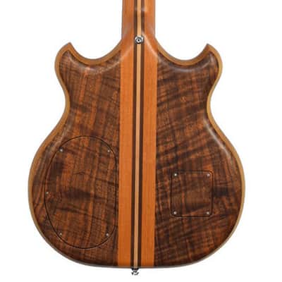 Alembic Brown Bass image 3