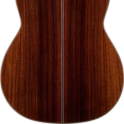 Cordoba C10 CD WC Classical Guitar, Solid Cedar Top image 3