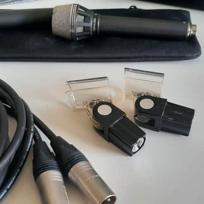 Set of 2x AKG D190 - Grey - Built for Beaulieu - Klein tuchel image 3
