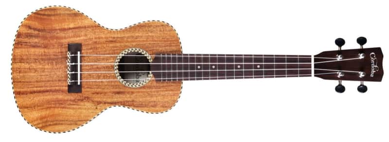 Cordoba 25C Concert Ukulele image 1