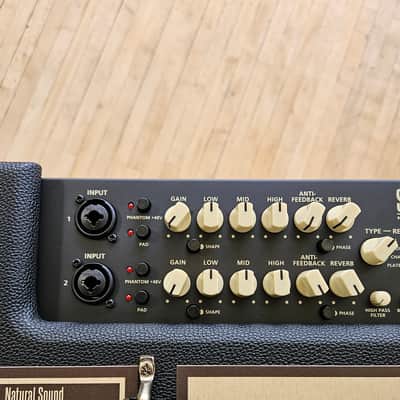 Blackstar Sonnet 120 Natural Response 120-Watt 1x8" Acoustic Guitar Amp - Black image 5