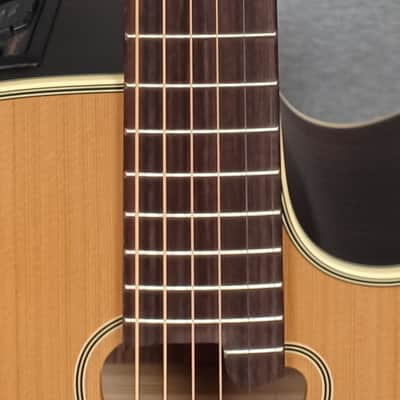 Takamine GB7C Garth Brooks Signature with Soft Shell Case image 4