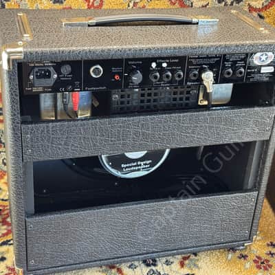 2008 Koch - Twintone II Combo + TS112 Cab - ID 5925 image 10