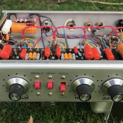 Dumble Overdrive  1977 Grey / Brown Suede image 4