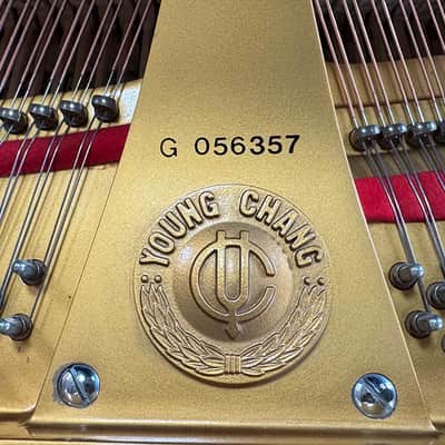 Young Chang g157 1990 - Ebony Polish image 14