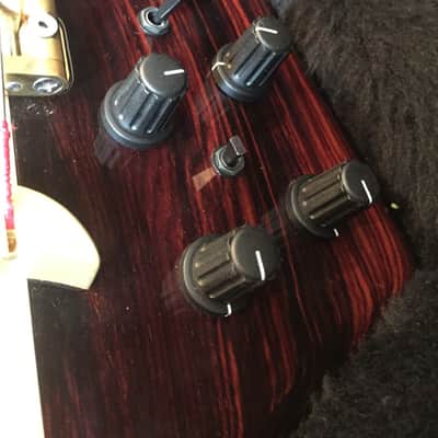 Alembic Exploiter Custom Coco Bolo 5-string bass image 4