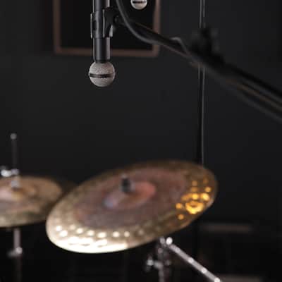 Beyerdynamic M160 V2 Hypercardioid Double Ribbon Dynamic Microphone image 5