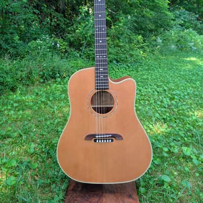 Alvarez Yairi DY62C image 1