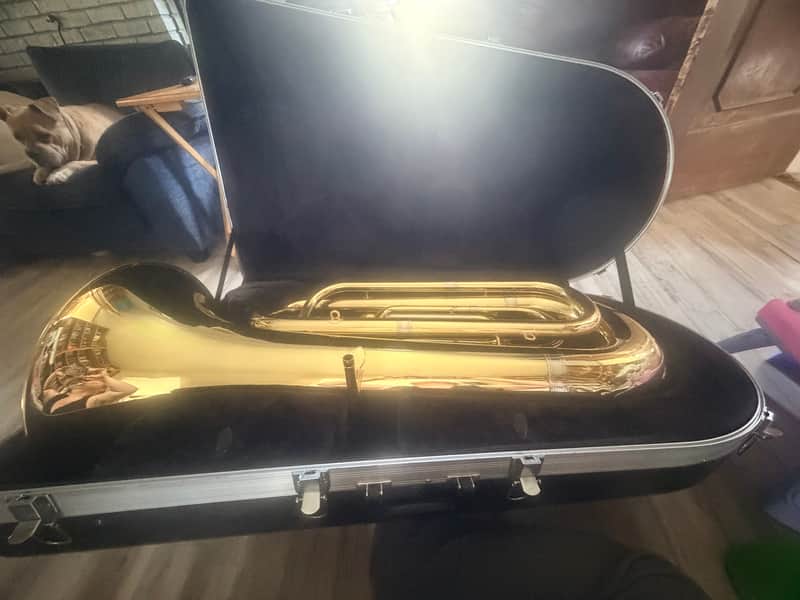 Eastman Tuba EBB431 imagen 1