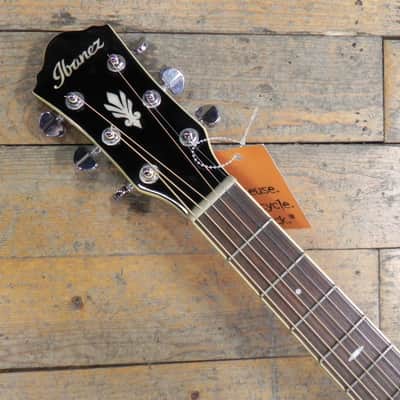 Ibanez AEG12II-NMH image 2