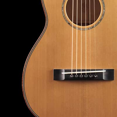 Martin Custom Shop Terz Style 5 Birdseye Maple (003) image 4
