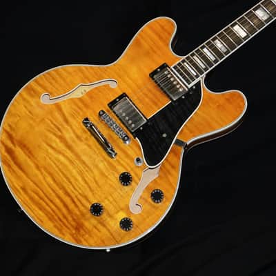 Heritage Custom H-555 2009 - Golden Amber image 1