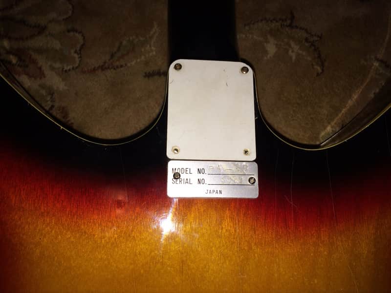 Idol/Marlin Pa25 1968 Burst image 1