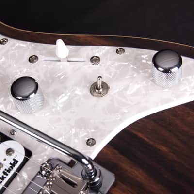 Michael Kelly 1965 Ebony Custom Collection, EPIC ELEVEN MOD, Striped Ebony Top, Swamp Ash Body image 6