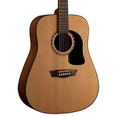 Washburn Apprentice D5 Acoustic Guitar (LDWS) image 1