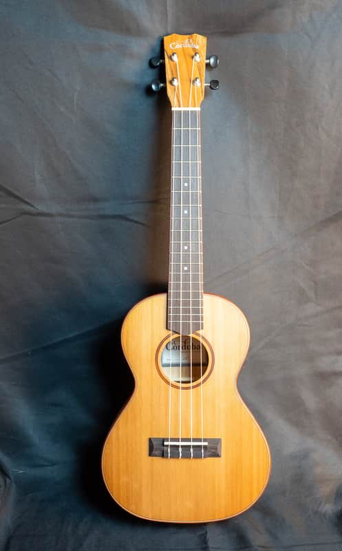 Cordoba 24T cedar top spalted maple tenor ukulele image 1