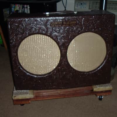 Louis Electric Custom Build image 16
