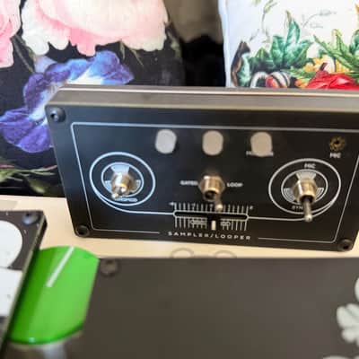 Erica Synths Bullfrog with All available options cards image 7