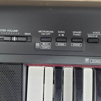 Yamaha Portable Grand NP-30 STAND INCLUDED image 3