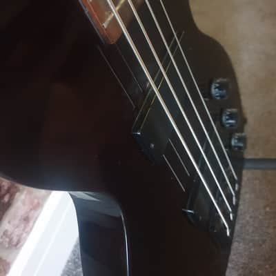 Epiphone Les Paul Special Bass 2006 - 2015 image 2