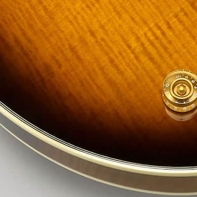 Ibanez John Scofield Signature JSM100 Vintage Burst image 6