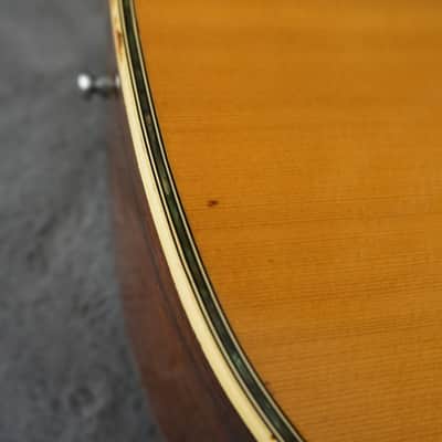 Pro Martin W-250 Vintage MIJ Dreadnought Acoustic Guitar w/ Gig Bag image 6