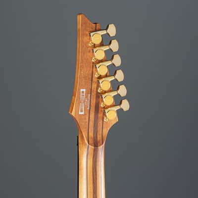 Ibanez Premium RGT1220PB-ABS Antique Brown Stained Flat - Electric Guitar image 5
