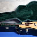 Martin OMCPA4 – Rosewood Acoustic/Electric – Excellent – Hard Case