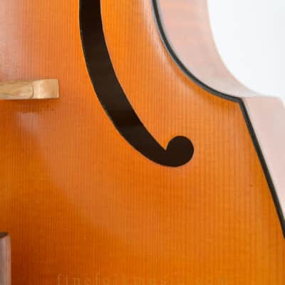 F. Upmann Viola da Gamba 1964 with bow and case image 17