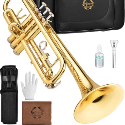 Bb Trumpet for Beginners, Brass Student Trumpet Kit with Case, 7C Mouthpiece, Cleaning Kit, Standard B Flat Instrument - Gold image 1
