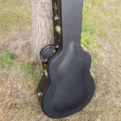 Breedlove Revival USA Custom Shop hog top Dread image 21