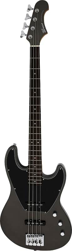 Greco BGWB Metallic Grey w/Gigbag image 1