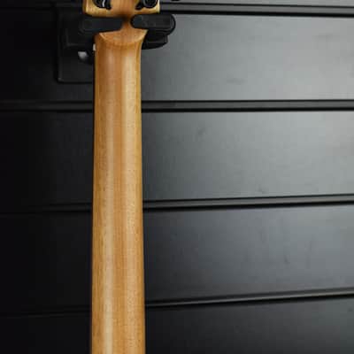 Washburn BTSC40-SCE image 9