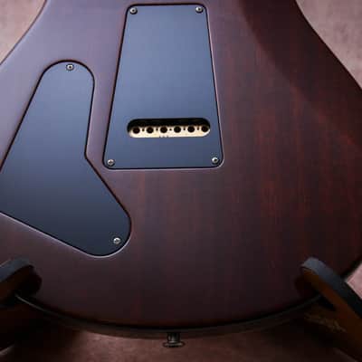 PRS USA Paul Reed Smith Wood Library Special 22 Semi Hollow 10-Top "Copperhead Burst" (2024) image 17