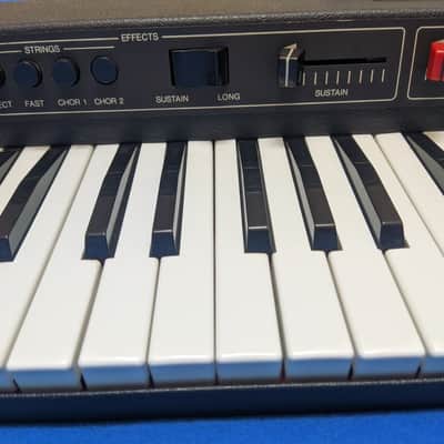 Vermona Piano Strings with original hard-case (vintage analog strings synthesizer, 1978, DDR) image 13
