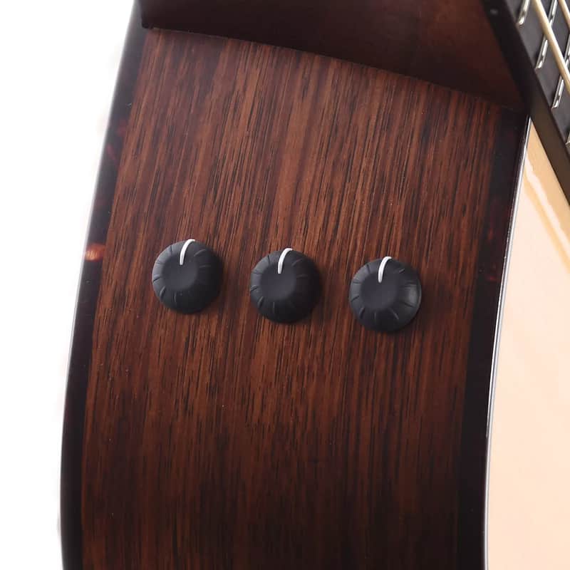 Taylor 316e Baritone-8 LTD image 8