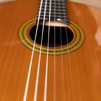 Yamaha GC42C - All Solid Classical Guitar - Cedar/Madagascar Rosewood - 2026 image 19