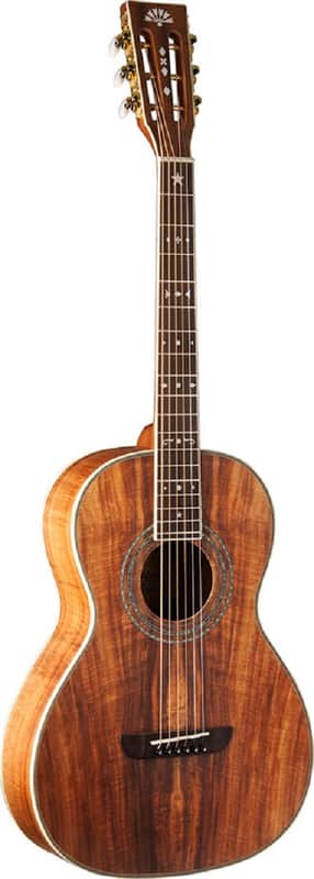 Washburn WP55NS-W Parlor Acoustic Guitar Koa | Reverb