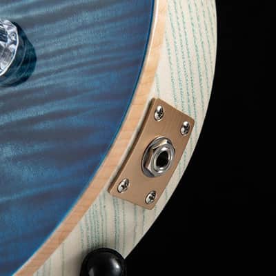 Paul Reed Smith Private Stock Singlecut 594 Walking Zombie Ice Zombie image 13