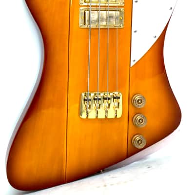 Waterstone Voltaire Bass Prototype image 2