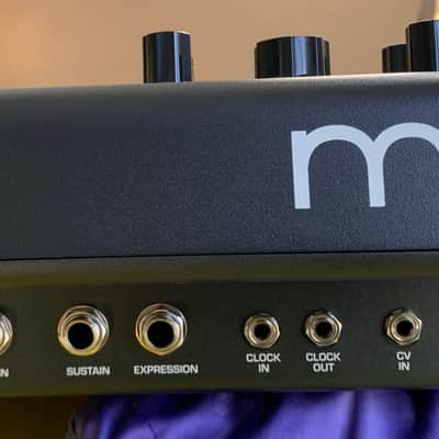 Moog Messenger 32-Key Monophonic Synthesizer 2025 image 7