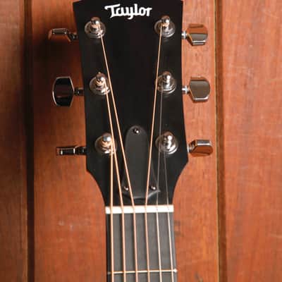 Taylor 214ce Dreadnought Acoustic-Electric Guitar image 3