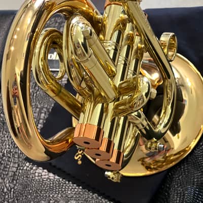 CarolBrass Pocket Flugelhorn / Taylor Phat Puppy 2024 - Polished / Lacquered image 14