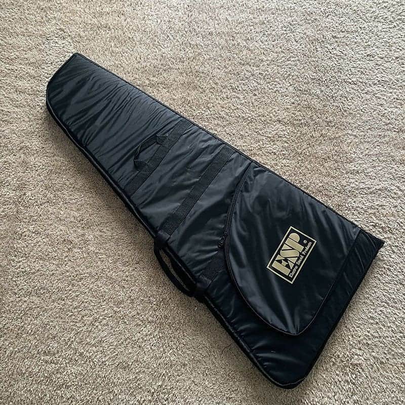 ESP LTD Electric Guitar BackPack Gig Bag Case image 1