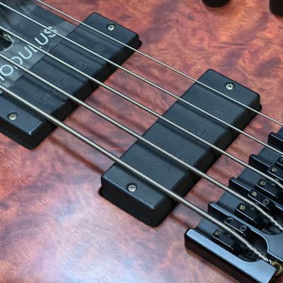 Modulus Quantum 5-35  Fretless - Bubinga image 7