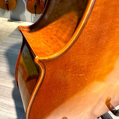 Student Cello: 1/2 Cello - Segue Concertino Plus 2016 - Oil varnish image 18