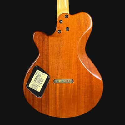 Godin Exit 22-S MN Electric Guitar in Natural image 3