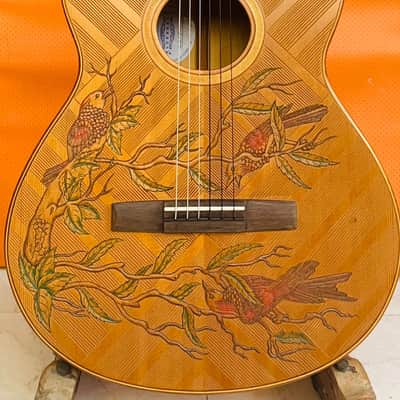 Blueberry NEW IN STOCK Classical Nylon String Guitar - Alaskan Spruce and Mahogany image 6